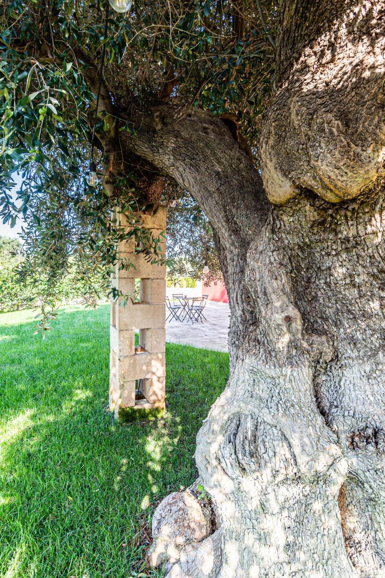 Tenuta Fascianello Apartment