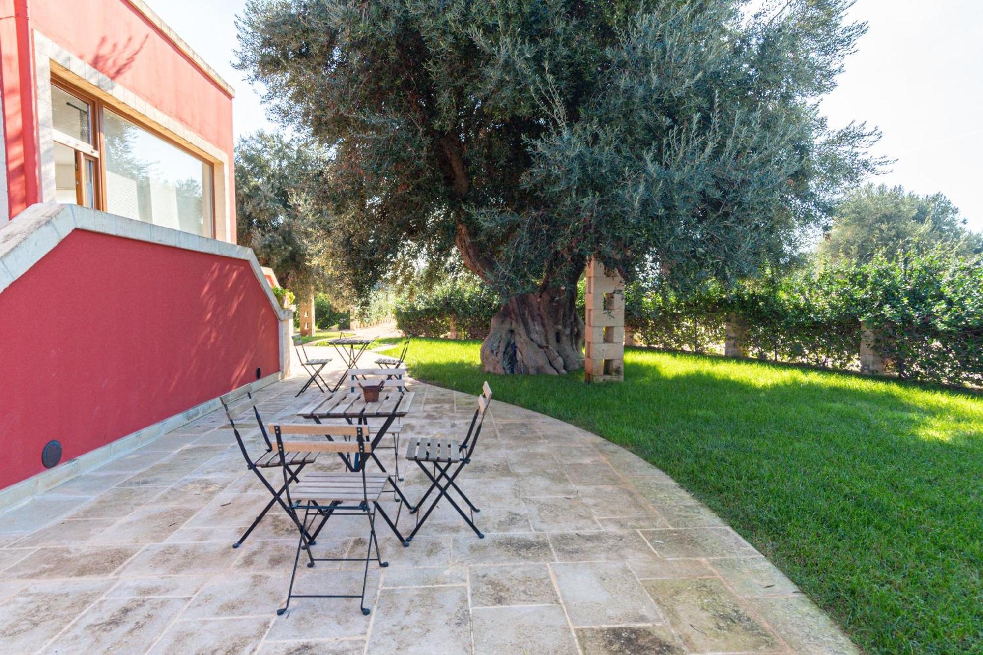 Tenuta Fascianello Fasano